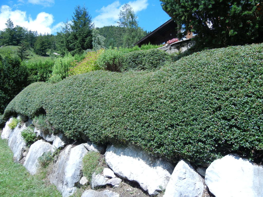 Privathaus Achensee Achenkirch Chambre photo